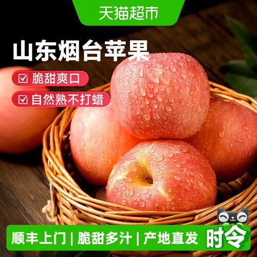 山东烟台富士苹果新鲜水果