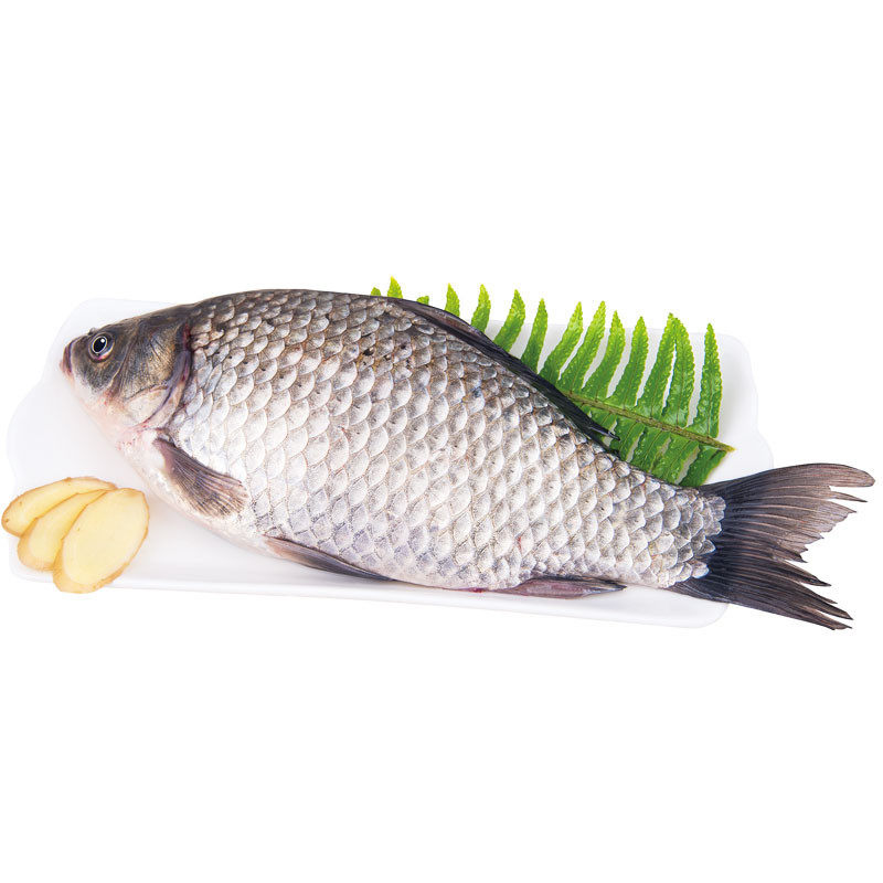 (鲜活)白鲫鱼300-400g/条