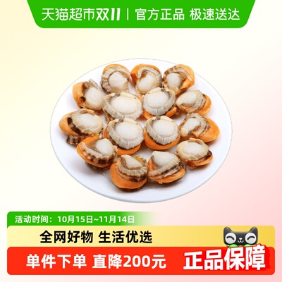 北海湾超大北城扇贝肉