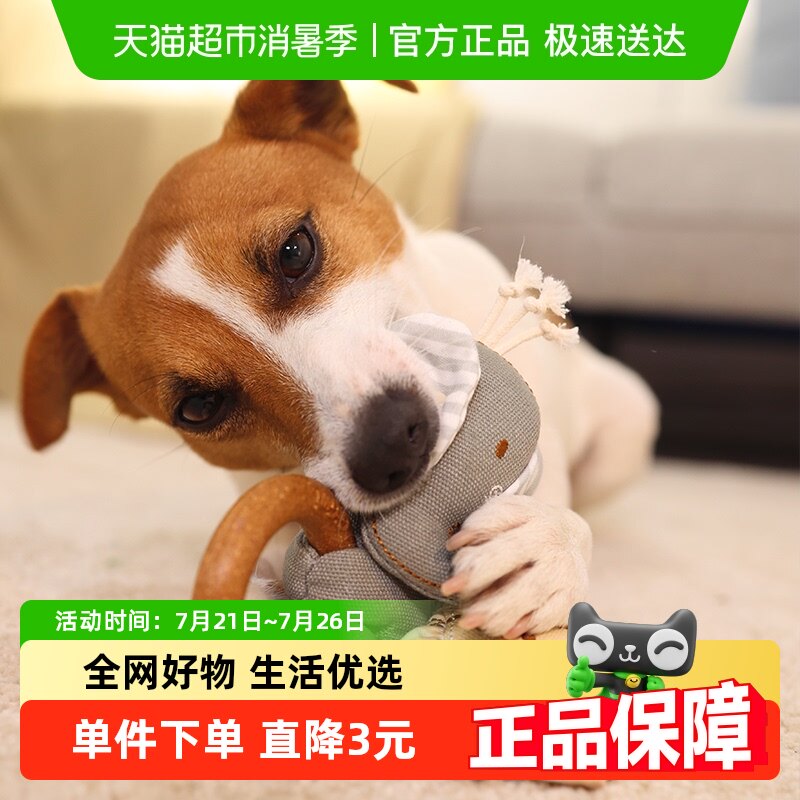 GiGwi��Ϊ���������ľë�޷���ĥ����ҧ�������˽�����ȮС��ҧ