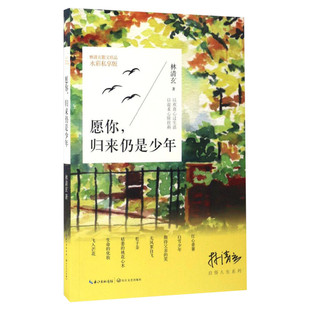 【新华文轩】愿你,归来仍是少年 水彩私享版林清玄 著 正版书籍小说畅销书 新华书店旗舰店文轩官网 长江文艺出版社