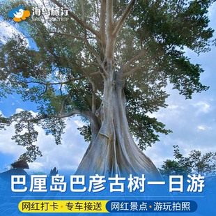 巴厘岛古树Bayan Ancient Tree瀑布梯田海神庙双子湖百度库一日游