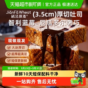 碱法原麦面包全麦牛乳蓝莓黑巧碱水吐司健康早餐10天短保现发 包邮