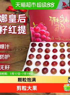 京运达正宗妮娜皇后