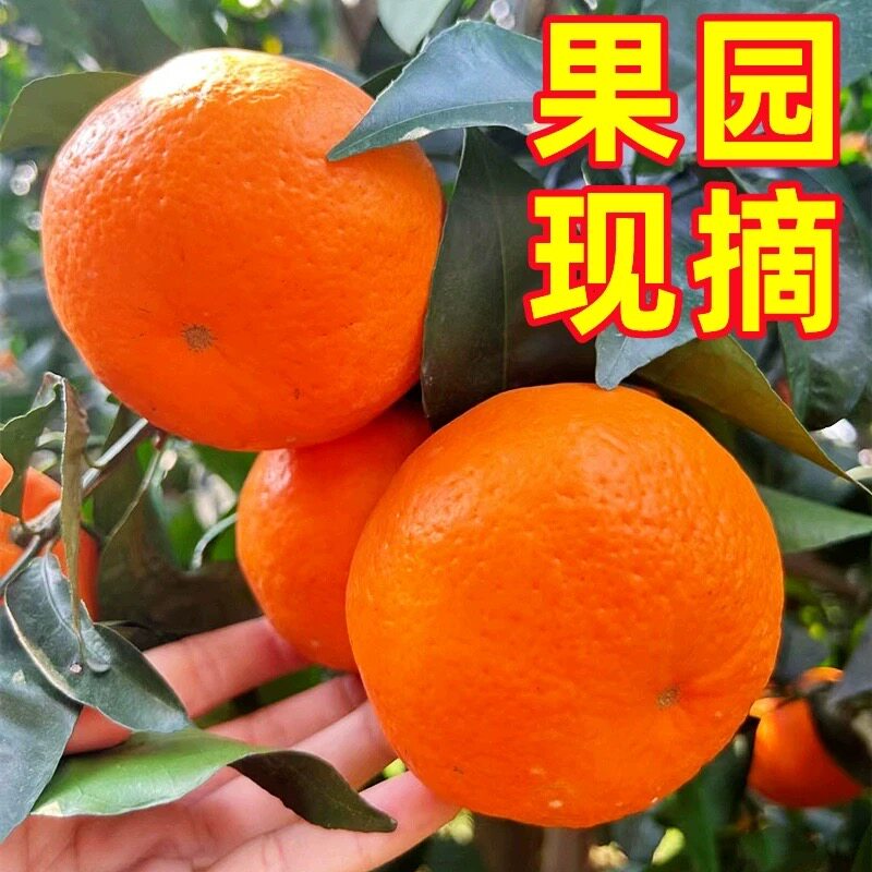 1�� 60-65mm �������ָ����ڹ������ʽ���ˮ�����ӵ����ʵ��۸���ɰ�ǽ۰���