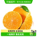 正宗四川爱媛果冻橙大果当季 新鲜水果手剥甜橙子特级整箱