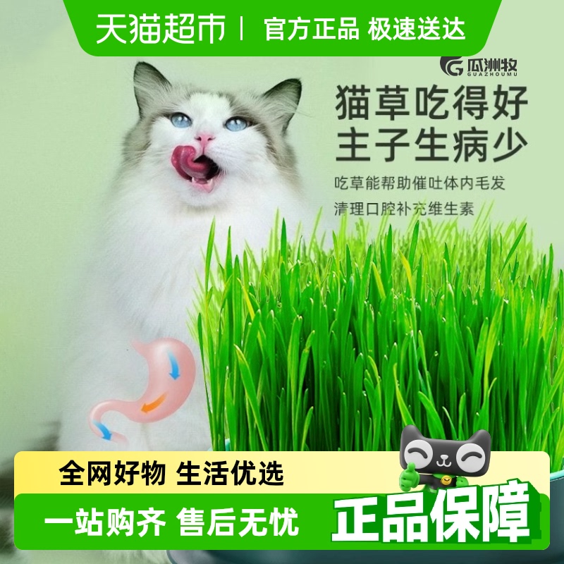 èˮֲлèݻëƬСʳ15.8Ԫ