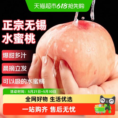 京运达正宗无锡水蜜桃