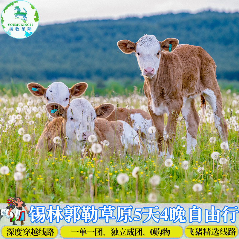 锡林郭勒大草原旅游锡林浩特二连浩特阿巴嘎包车5天4晚私家团亲子