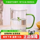 包邮 耐热玻璃杯泡茶杯带盖办公室家用带把手茶道杯花茶杯