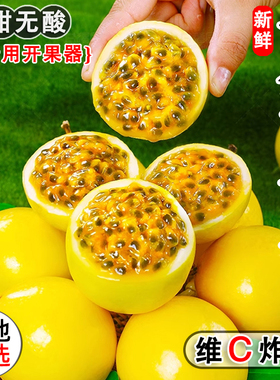 钦蜜9号黄金百香果新鲜水果1/2/3/5斤大果包邮时令当季黄金果