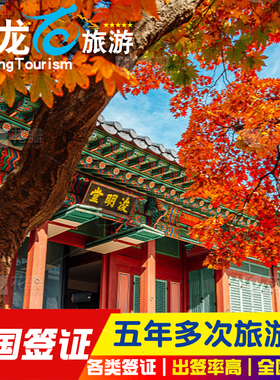 韩国·五年多次旅游签证·武汉送签·个人旅游C39朝鲜族C38等五年十年多次签证