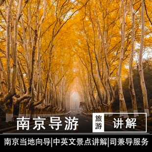 南京一日游中文英文导游讲解服务|总统府|牛首山|中山陵|明孝陵