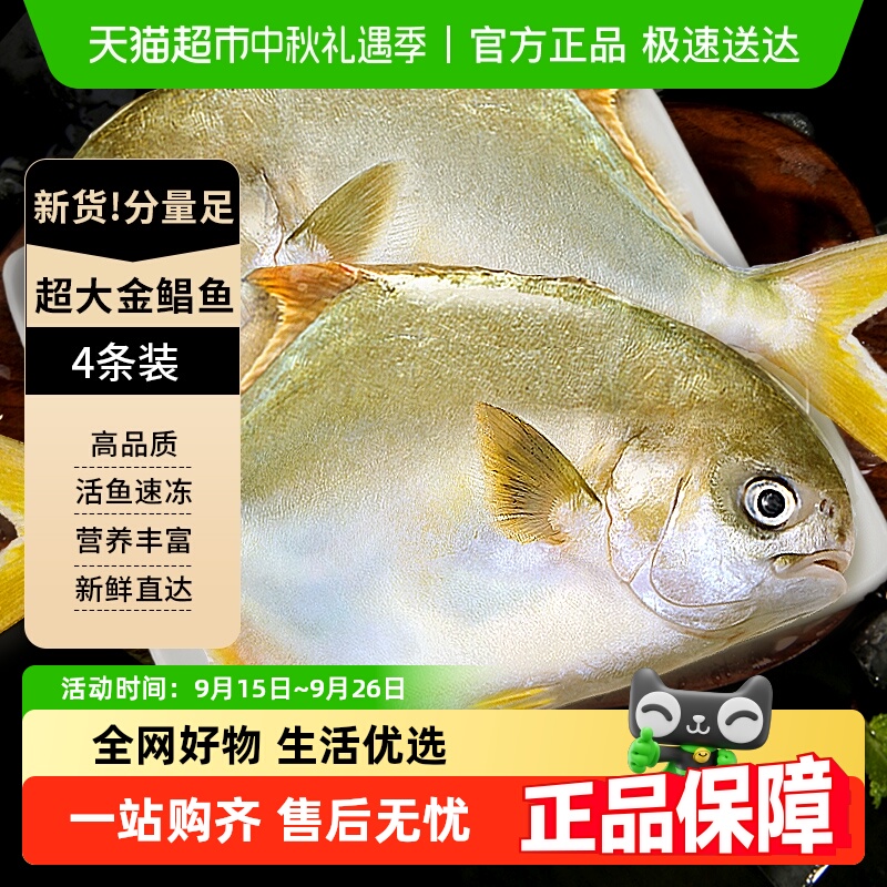 鲳鱼