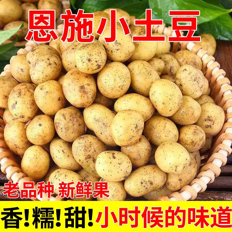 产地直发恩施高山迷你黄心小土豆 黄皮黄心洋芋马铃薯力荐9斤
