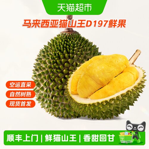 王上榴猫山王鲜果自然树熟