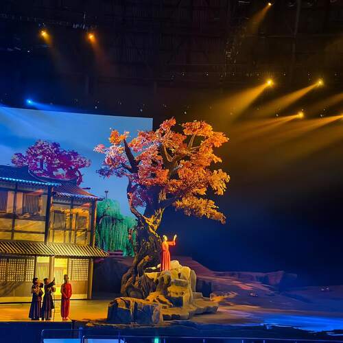 驼铃传奇秀-演出门票