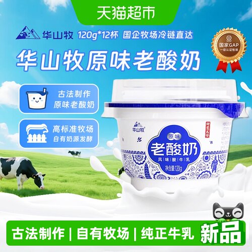 华山牧原味老酸奶碗120g*12碗