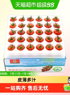 春沐源安第斯红小番茄皮薄多汁
