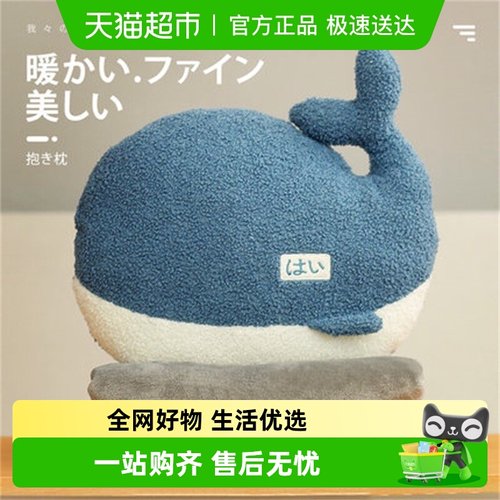 鸿汉二合一毛毯抱枕被子两用毯子