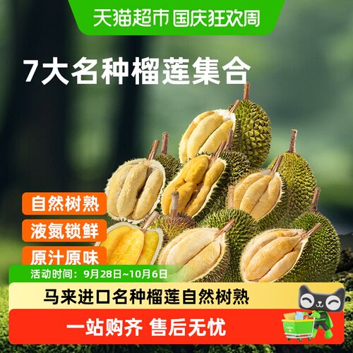 市舶士马来西亚液氮锁鲜苏丹王榴