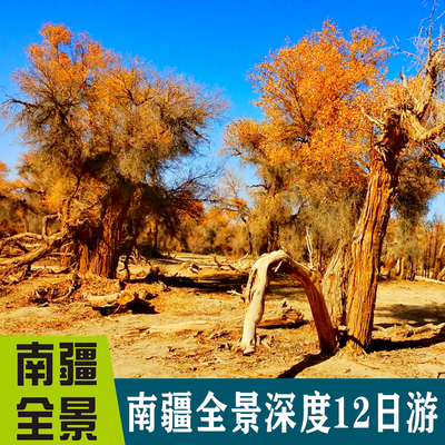 南疆胡杨林赏秋  2～5人高标精品小团  希尔顿+格林东方+全季酒店