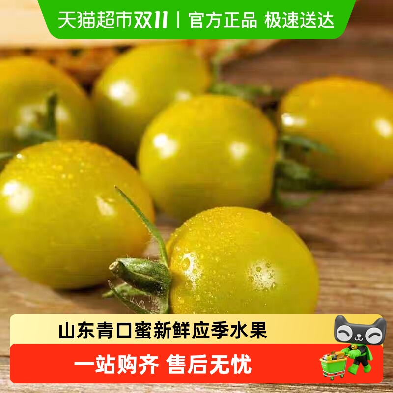 胡鲜森山东青口蜜小番茄