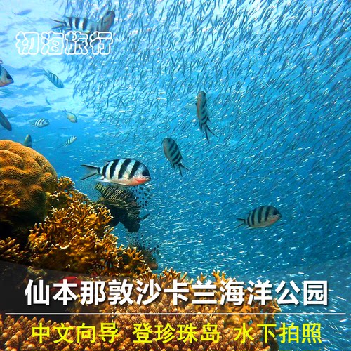 仙本那一日游敦沙卡兰