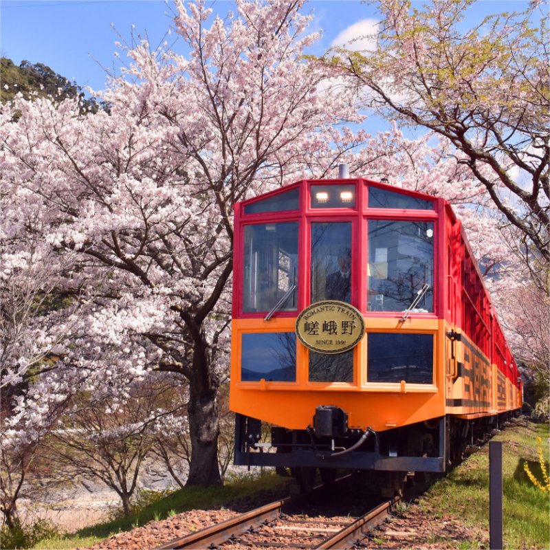 [嵯峨野观光小火车-龟冈至嵯峨、岚山单程交通]预订前请先咨询客服班次余位情况
