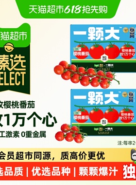 臻选小串番茄精品一颗大礼盒装酸甜爆汁基地直发