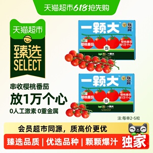 臻选一颗大小串樱桃番茄酸甜爆汁
