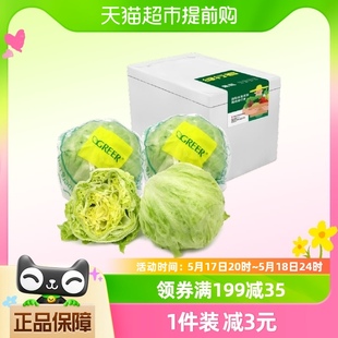 绿行者球生菜沙拉2kg 4颗 健康轻食新鲜蔬菜