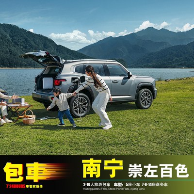 南宁机场崇左包车 德天瀑布大新明仕田园 凭祥友谊关扶绥宁明龙州