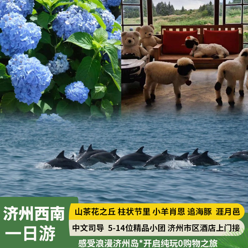 济州岛一日游西南海豚线|小羊肖恩|狭才|山茶花之丘|实弹|涯月邑