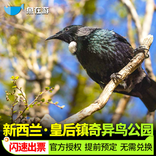 [奇异鸟鸟类生态公园-大门票]新西兰皇后镇奇异鸟公园Kiwi Park门票系统直连闪速出票