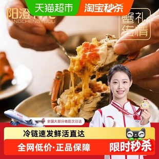 【4公4母】阳澄有礼大闸蟹礼盒公4.5两 母3.5两 去绳净重足两速发