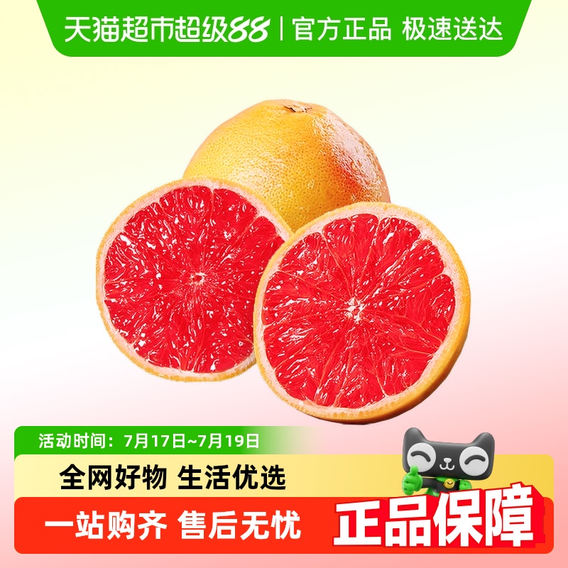南非西柚红心多粒大果葡萄柚
