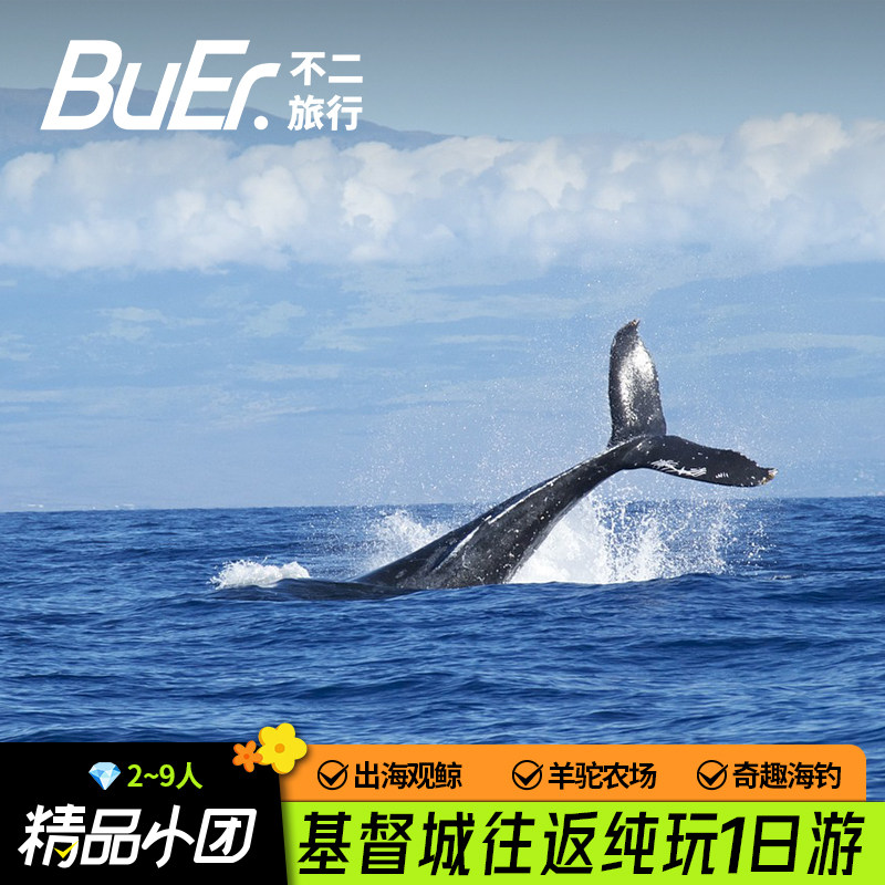 2-10人小团|新西兰旅游基督城周边凯库拉观鲸海钓阿卡罗阿一日游