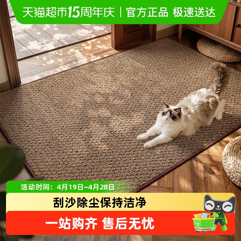 大江入户门地垫进门地毯家用高级玄关脚垫子蹭脚垫家用门厅地垫