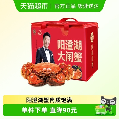 湖东蟹澄湖大闸蟹8只×1箱×1组