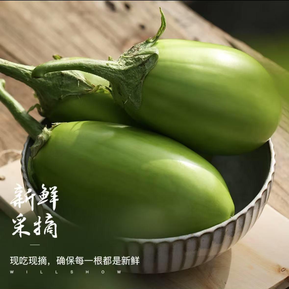 顺丰包邮东北茄子新鲜生吃现摘甜绿茄子青茄子蔬菜农家自种园茄子