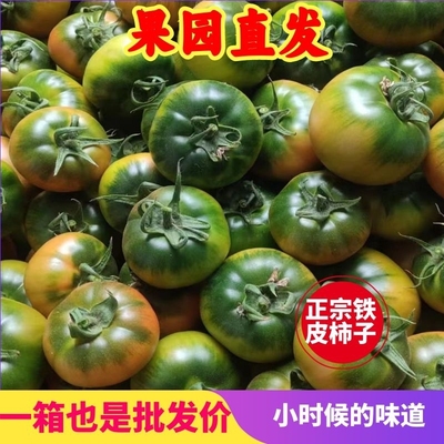丹东铁皮柿子1斤3斤5斤顺丰包邮新鲜爆汁脆甜沙瓤农家应季水果