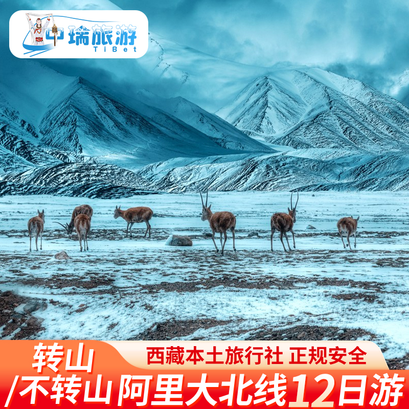 阿里大北线12天跟团游