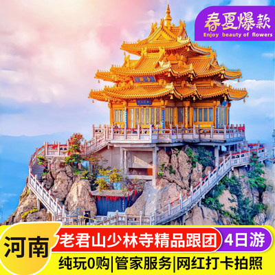 洛阳旅游4天3晚跟团游老君山龙门石窟洛阳博物馆白马寺亲子四日游