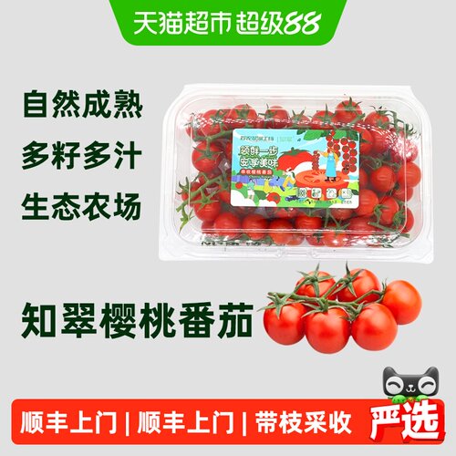 知翠樱桃小番茄低GI认证智慧农业