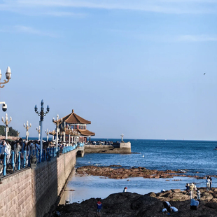 辽宁大连沈阳4天3晚纯玩旅行圣亚海洋世界四天三晚跟团旅游