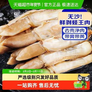 青岛蛏子肉新鲜冷冻大竹蛏子王海圣子