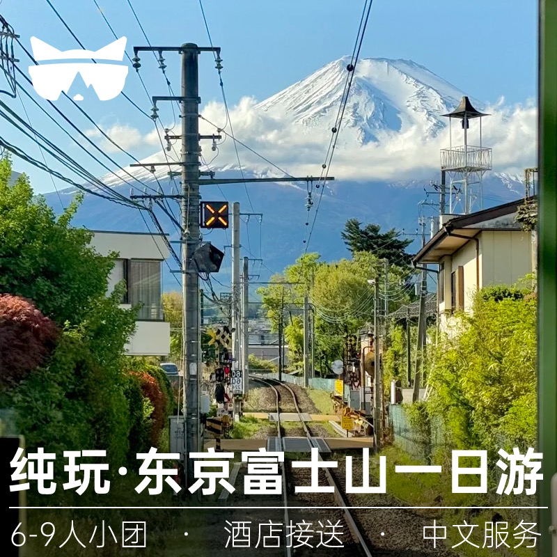 东京富士山一日游