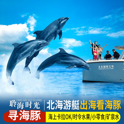 【北海看海豚】豪华游艇出海偶遇海豚/海上观光/可升级包艇海钓
