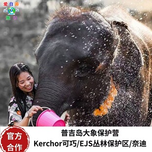 可巧买2送1[普吉岛大象保护营-酒店接送]公益大象营可巧奈迪EJS